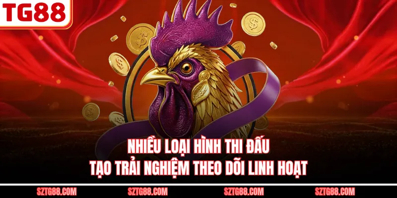 Nhiều loại hình thi đấu tạo trải nghiệm theo dõi linh hoạt